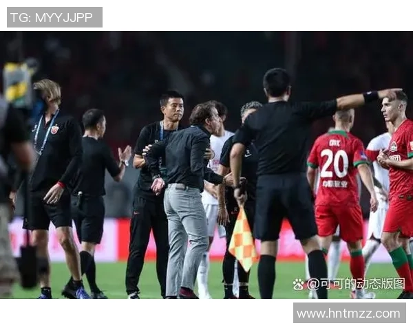 上海羽毛球队逆袭之路揭秘：从低谷到冠军的奋斗与荣耀